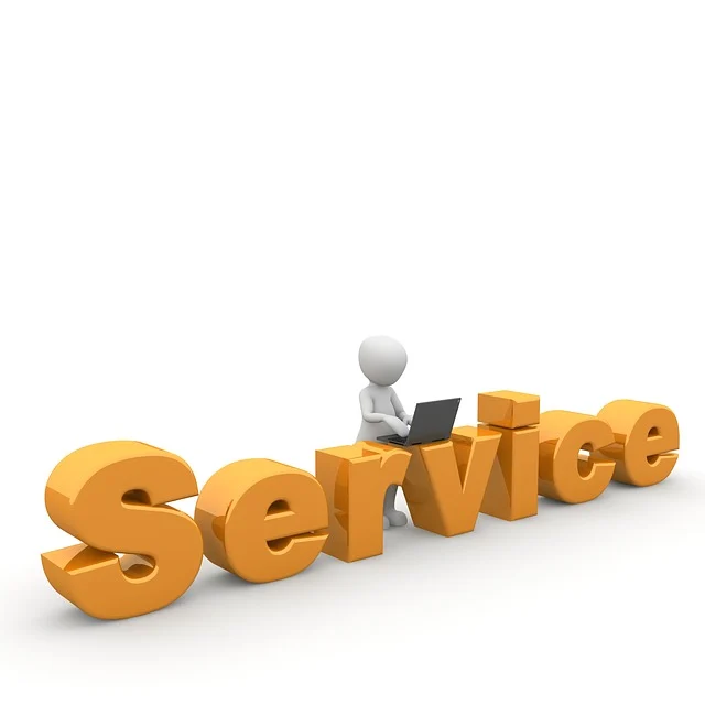 Professional Services Assistance